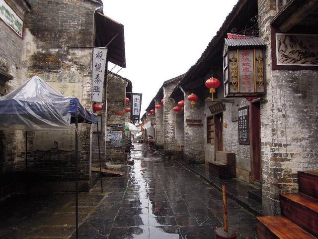 细胞分裂6